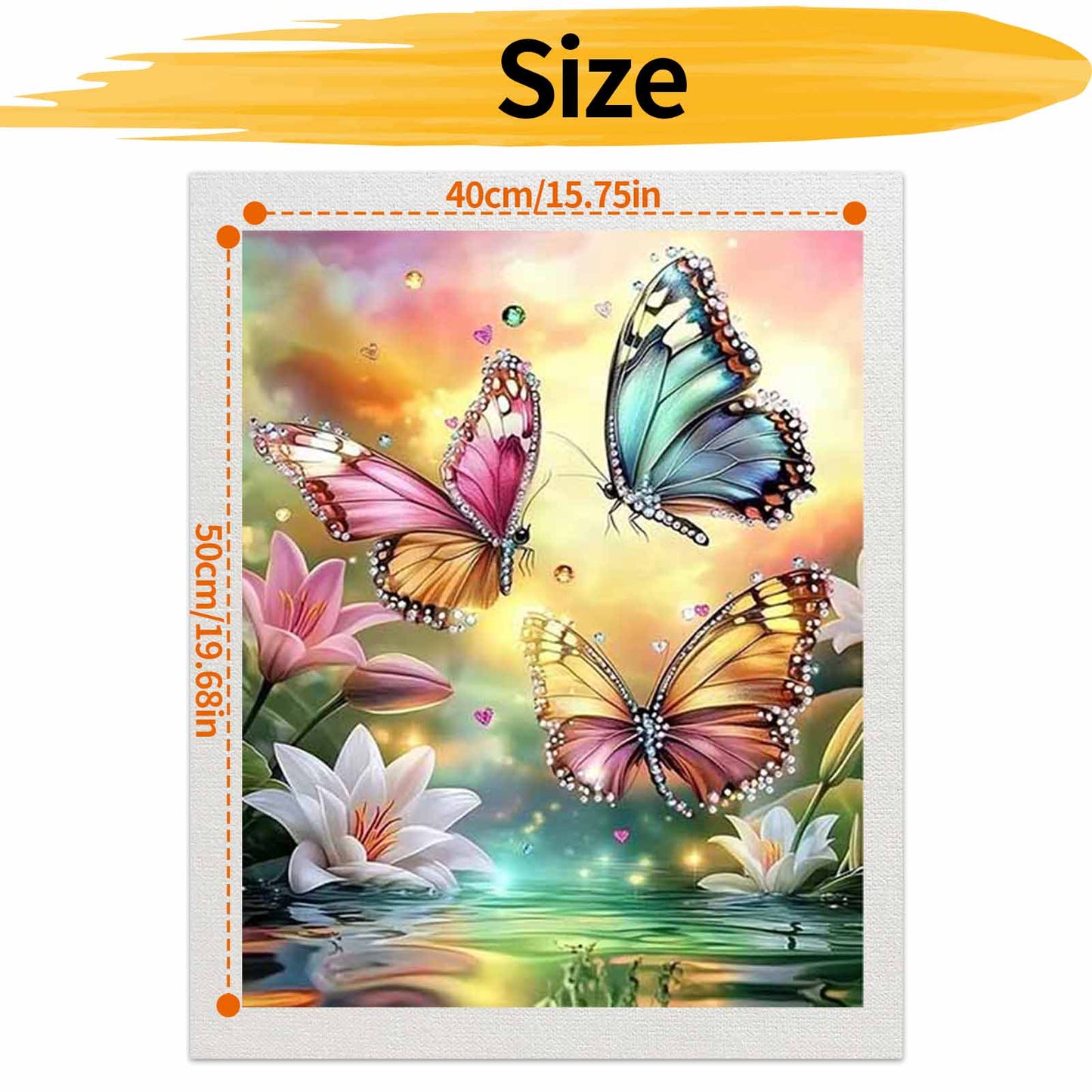 Butterfly - Paint by Numbers -40x50cm