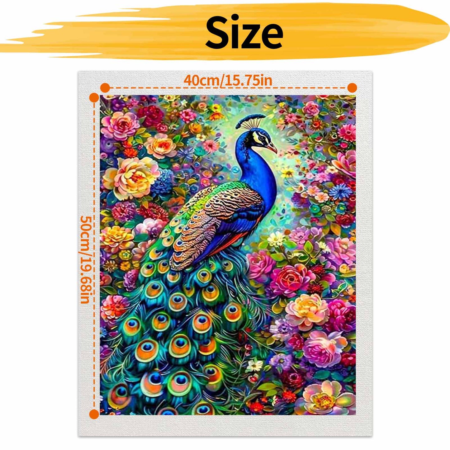 Peacock - Paint by Numbers -40x50cm