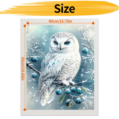Owl- Paint by Numbers -40x50cm