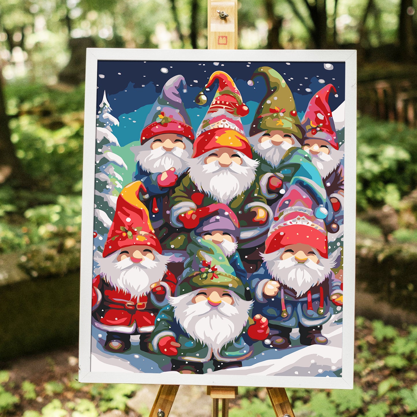 Christmas Gnome- Painting with Numbers -40x50cm