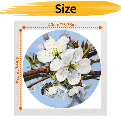 Flower - Painting by Numbers -40x40cm