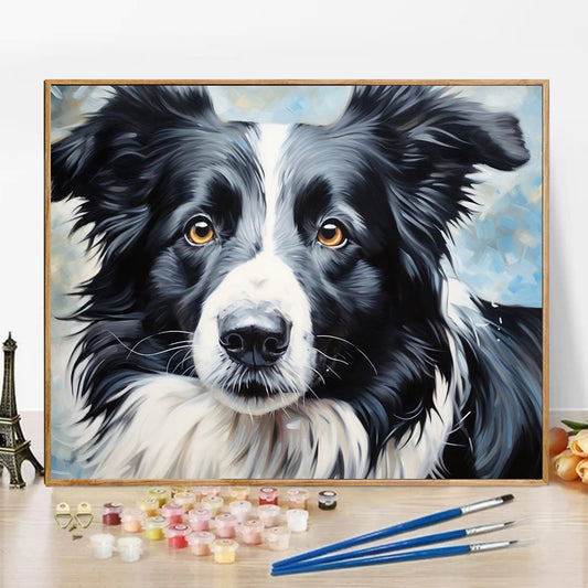 Border Collie - Paint by Numbers -50x40cm