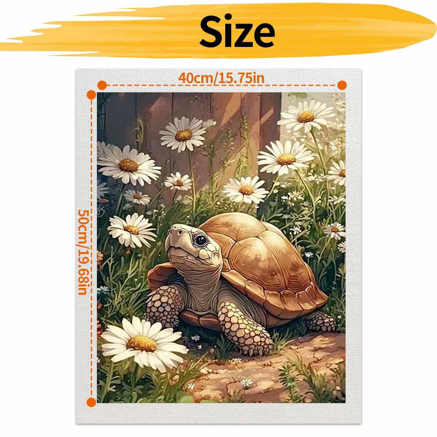 Turtle - Paint by Numbers -40x50cm