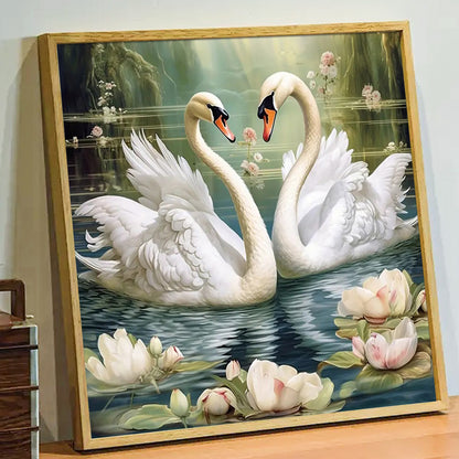 Swan  - Paint by Numbers -40x50cm