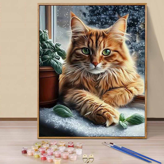 Kitten- Paint by Numbers -40x50cm