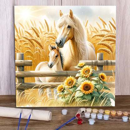 Horse- Paint by Numbers -40x40cm