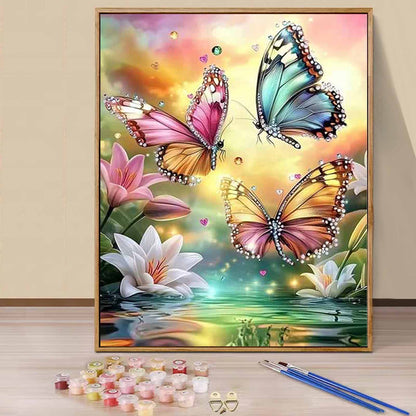 Butterfly - Paint by Numbers -40x50cm